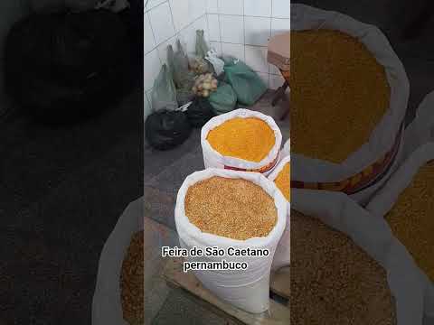 Feira de São Caetano pernambuco