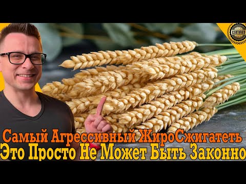 Едва законной жиросжигатель поможет экстра быстро похудеть! Едва законной жиросжигатель поможет экстра быстро похудеть!