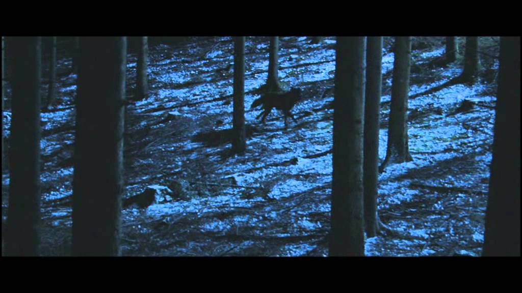 Miniature de la vidéo SURVIVRE AVEC LES LOUPS - BANDE ANNONCE du film Survivre avec les loups