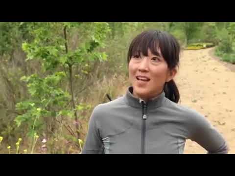 Cultural Stereotypes