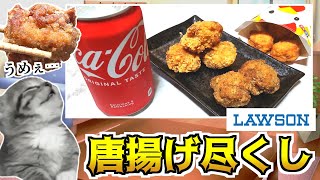 【コンビニ飯】ローソンの唐揚げをコーラで流し込む！【猫ミーム】