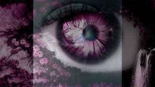 Enigma.. Knocking on Forbidden Doors