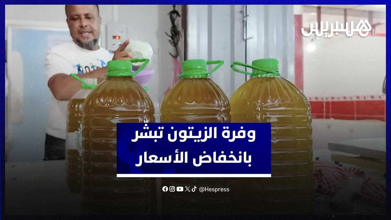 محصول الزيتون الوافر هذا الموسم ينعش الآمال بانخفاض أسعار الزيت thumbnail