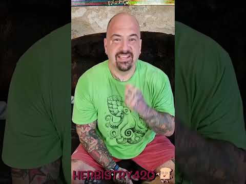 Wasted Money on Cannabis Video Short: 5 Hard Lessons