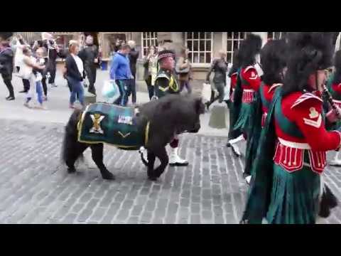 Scottish Army Bands parade Edinburgh's Royal Mile - [4K/UHD]