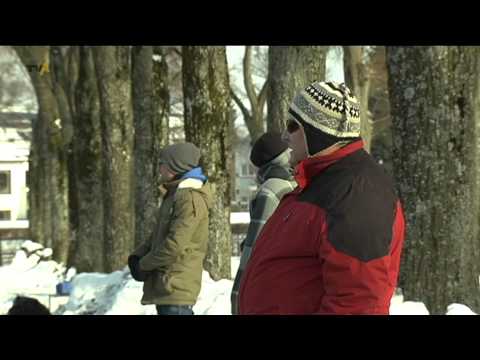 Frost-Fußball: FC Memmingen testet gegen Kottern