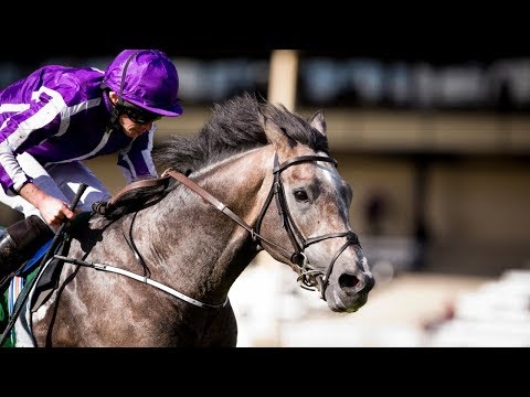 愛ダービー G1 17 7 1 土 日程 結果 Jra Van Ver World 愛ダービー G1 17 7 1 土 日程 結果 Jra Van Ver World