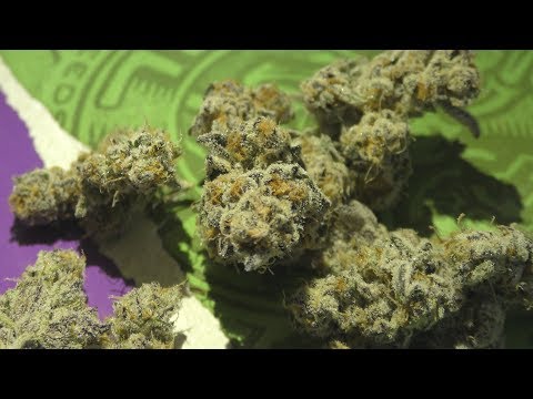 Ripper Seeds video