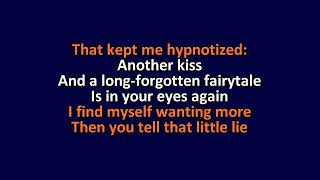 Magnetic Fields - Long-Forgotten Fairytale - Karaoke Instrumental Lyrics - ObsKure