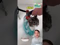 el mejor invento para cuando debas bañar a tu gato  #curiosidades #gatos