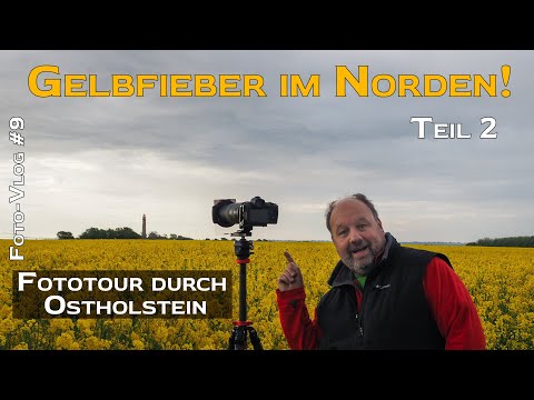 Gelbfieber im Norden // Eine Fototour durch Ostholstein // Teil 2