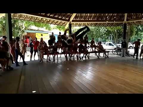 C.m andorinha porto seguro