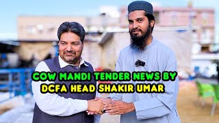 Cow Mandi Tender News by DCFA Head Shakir Umar Gujjar | Cattle Market Karachi