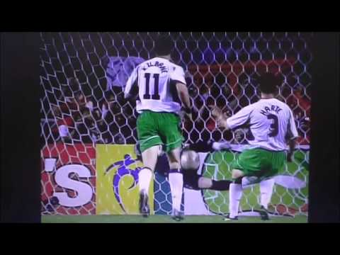 Non, Je Ne Regrette Rien (Edith Piaf) - Ireland Euro 2016