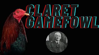 Col. Madigin's Claret Gamefowl