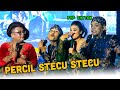 Percil Stecu Lucu Pol Terbaru 2025