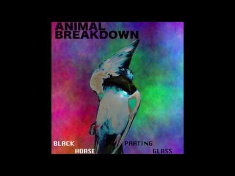 Animal Breakdown -  Black Horse