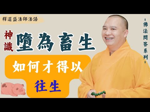 Shén shí duò wèi chùshēng, rúhé cái déyǐ wǎngshēng?,Shì dào shèng fǎshī fǎyǔ, [fǎshī fǎyǔ]
