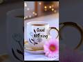 Good Morning Beautiful Shorts Good Morning Whatsapp Status Video Viral Video Hindi Song