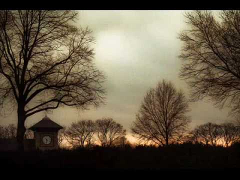 Tomas Newman - Any Other Name