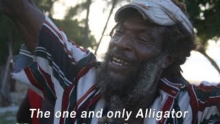 preview picture of video 'The one and only Alligator of Burwood Public Beach Jamaica'