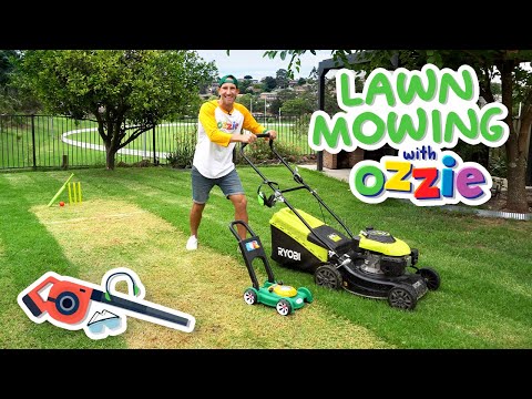 Lawn Mower Video For Kids | Backyard Mowing, Stripes & Cricket Pitch For Toddlers With Ozzie