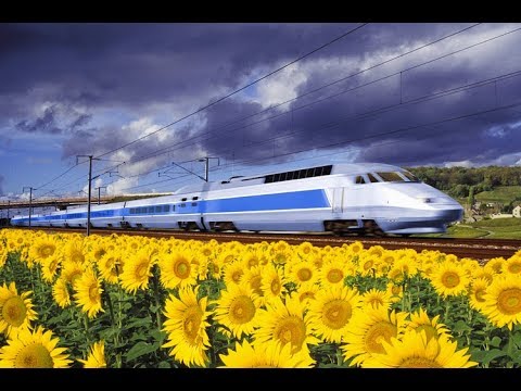 Riccardo Fogli & Laima Vaikule -Il treno per Parigi...