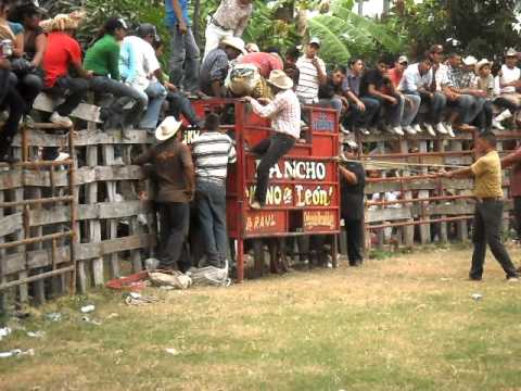 Toros Los Desalmados De Juan Cordova