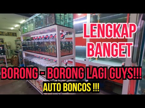 CONTINUE BUYING AGAIN FOR A NEW FIBERGLASS MEGATANK, GUYS!!!