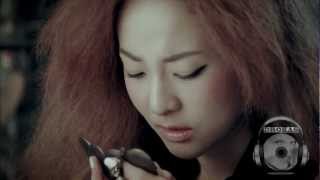 2NE1 vs. 1sagain (feat. Heenain) - Sick Of Being Hurt [Drokas Mash Up]