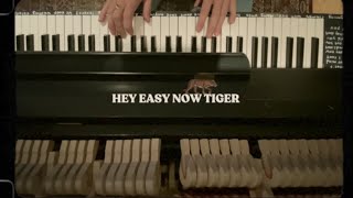 Easy Now Tiger Music Video