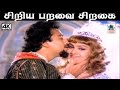 Siriya Paravai 4k SPB S ஜானகி பாடிய பாடல் சிறிய பறவை