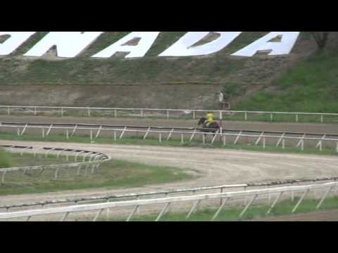 AFICION HIPICA TV DOMINGO 28 DE JULIO 2013