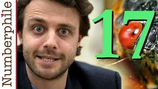 Cicada 17 - Numberphile