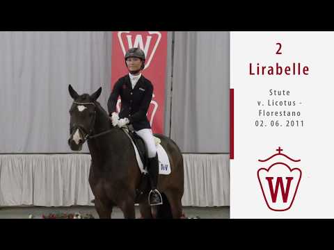 02 Lirabelle Stute v. Licotus - Florestano