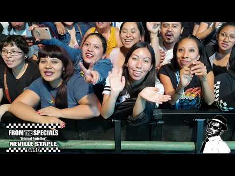 FROM THE SPECIALS - NEVILLE STAPLE (BAND)