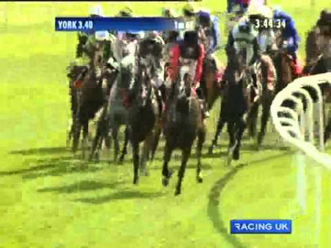 2011 Betfred Ebor - Moyenne Corniche / D Swift