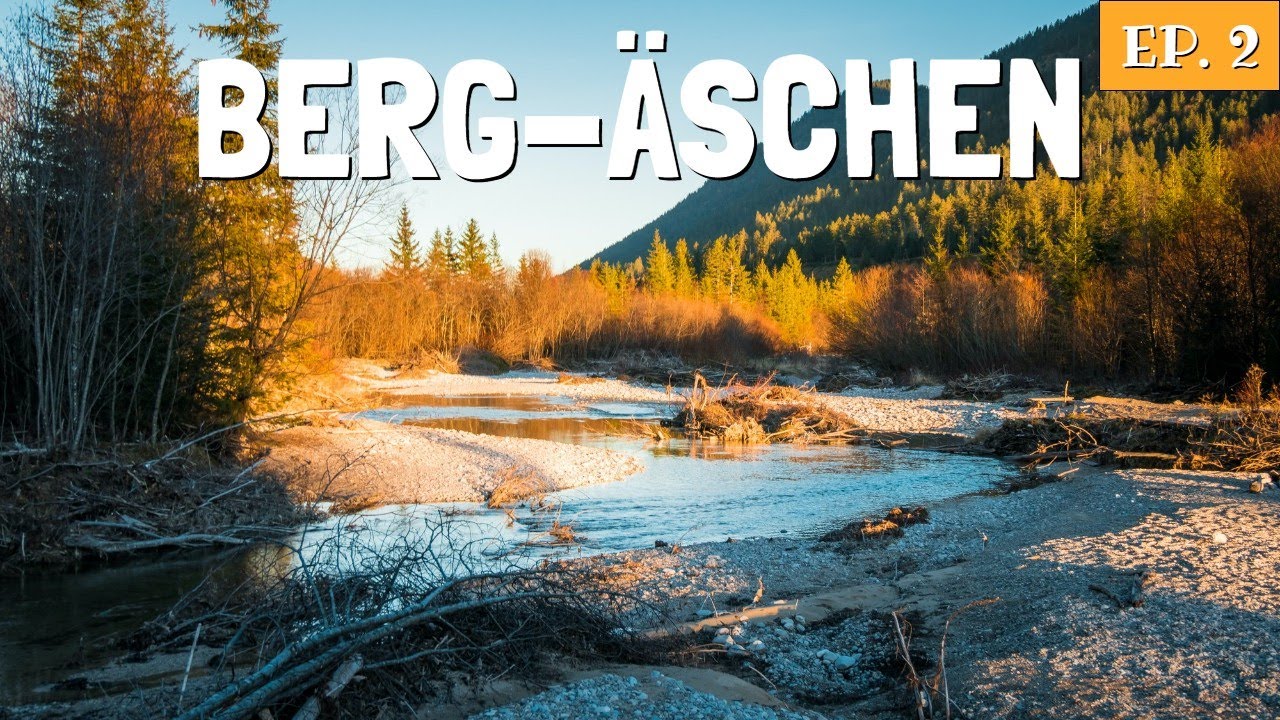 Auf der Suche nach großen Äschen an wildem Bergfluss | Tal der Äschen ep. 2