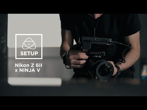 Nikon Z6 II Body video