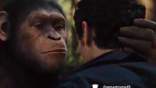 Download lagu Sesok prei mp3