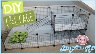 DIY C&C guinea pig cage │Alexandriasanimals