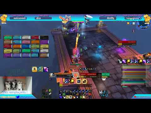 [FR] [Infamous-Ysondre] Rempart tempétueux HM !