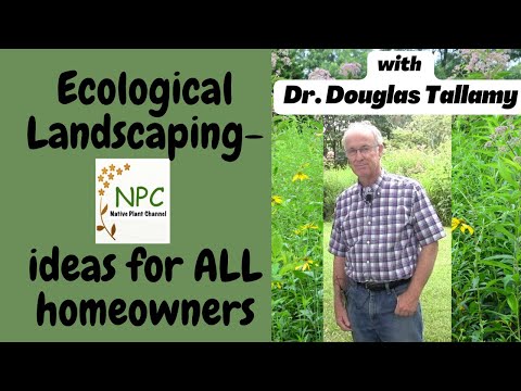 Ecological Landscaping-Ideas for ALL homeowners!#pollinatorgarden  #dougtallamy