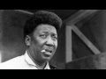 MUDDY WATERS - I Feel Like Going Home 