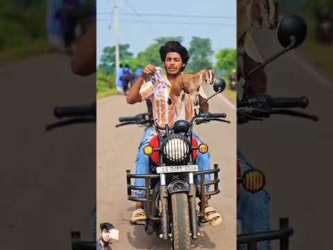 चलती🏍️गाड़ी में Bakri🦙बनना?~mini wood toy-woodworking artskill wood/handcraft #funny #goat #new