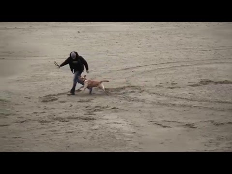 Video thumbnail for Дождь (Rain)