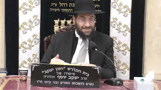 הרב משה יוסף • דיני הנחת תפילין לחולה