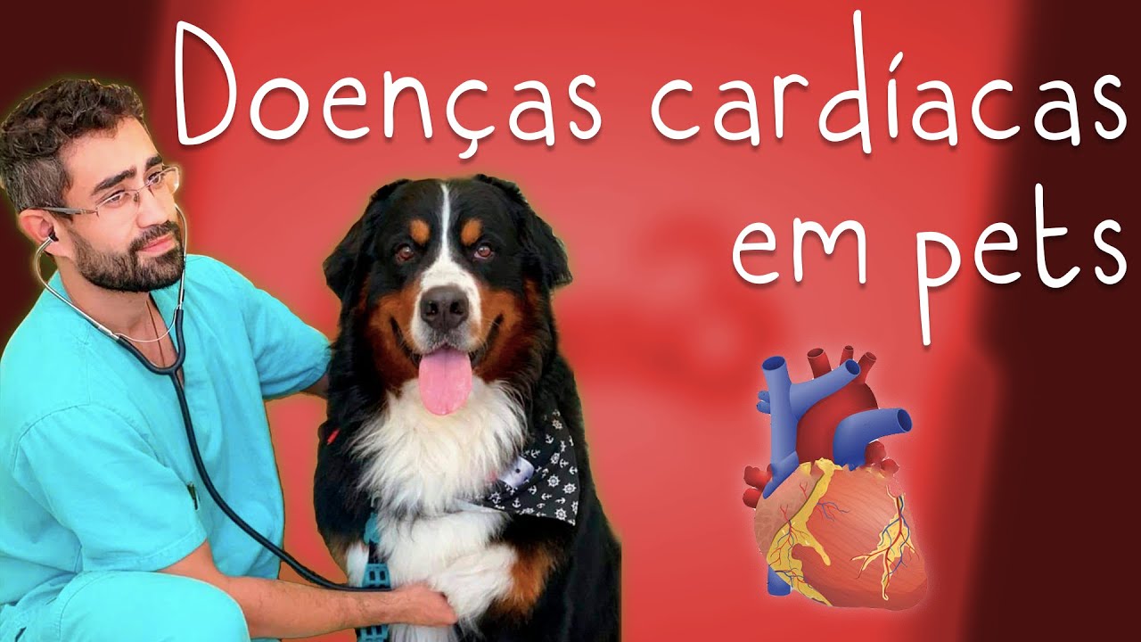 Cardiopatias em cães e gatos - Entrevista na TV Aparecida