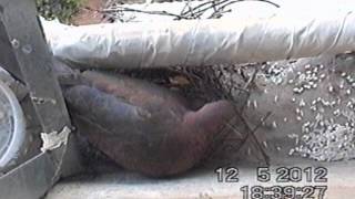 קן יונת צוצלת מתחת המזגן שלי (ידידנו היקר משה רצון ז"ל) - התמונה מוצגת ישירות מתוך אתר האינטרנט יוטיוב. זכויות היוצרים בתמונה שייכות ליוצרה. קישור קרדיט למקור התוכן נמצא בתוך דף הסרטון