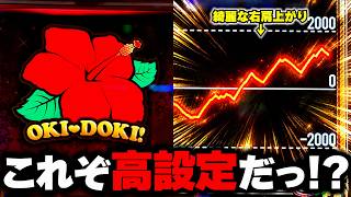 【沖ドキゴージャス】これが本物の高設定挙動だっ！？初代沖ドキの6を彷彿とさせる展開！？【パチンカス養分ユウきのガチ実践#497 】